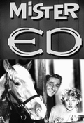 Foto: Ed