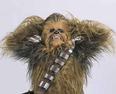 Foto: Chewbacca Wasabi